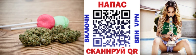 omg как зайти  Сураж  Canna-Cookies конопля 