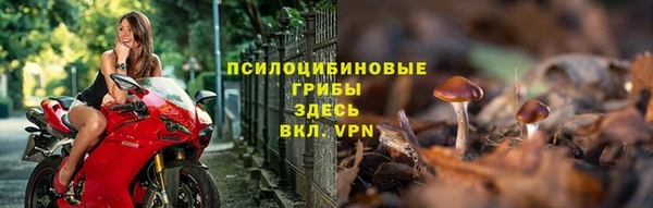 молекула духа Арсеньев
