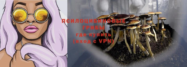 молекула духа Арсеньев