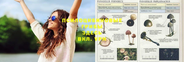 прущая мука Аркадак