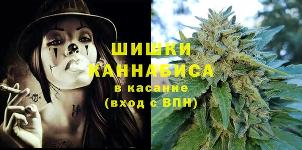 молекула духа Арсеньев