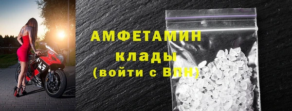 молекула духа Арсеньев