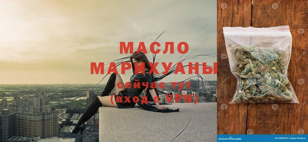 молекула духа Арсеньев