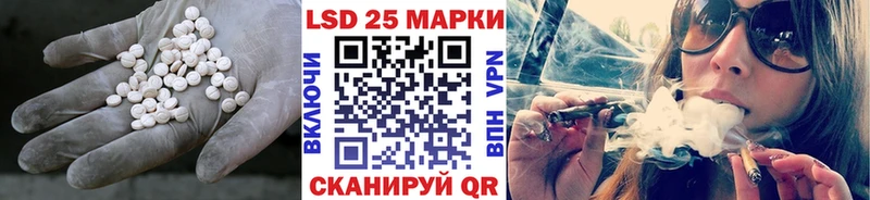 LSD-25 экстази кислота  гидра онион  Сураж  купить закладку 