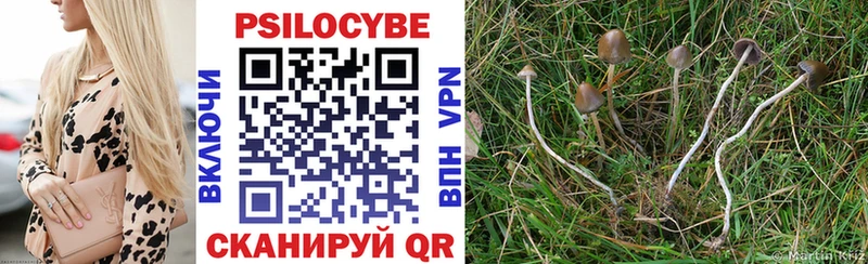 Галлюциногенные грибы Cubensis mega tor Сураж купить